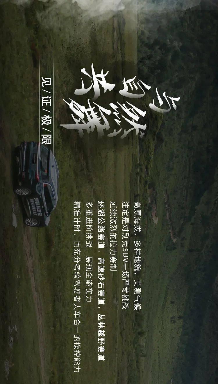 救援小橘猫