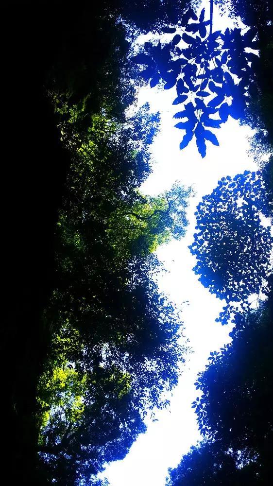 宁德时代与滴滴强强联手，换电赛道又迎新机遇